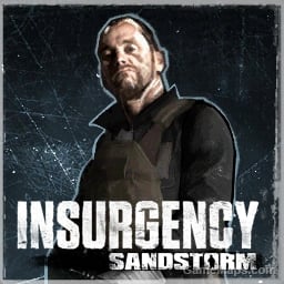 Insurgency: Sandstorm Survivors