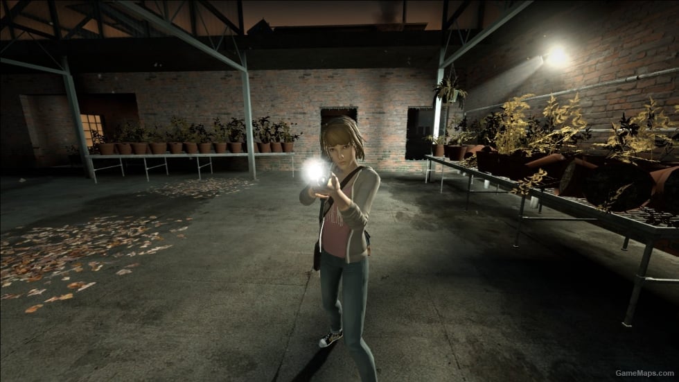Max Caulfield Replaces Zoey