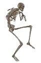 Spinner - Walking Skeleton