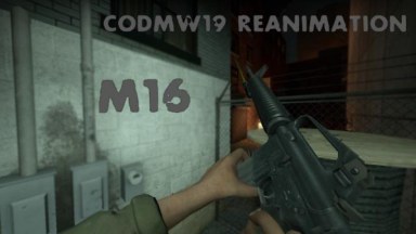 M16A2 Reanimation(codMW19 M13anims)