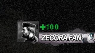 zecora fan healthbars