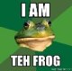 Teh Frog