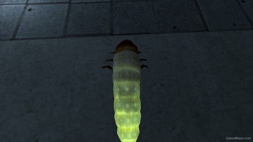 Antlion Grub