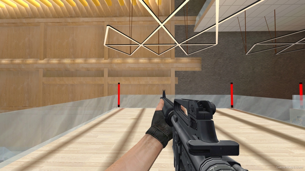 Cry of Fear M16
