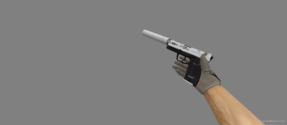 USP-S Information flow for CS 1.6