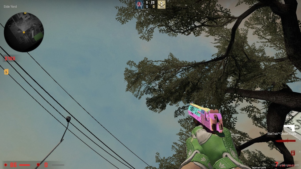 Desert Eagle Printstream WITH (pearlecent effect)