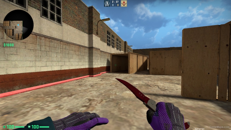 Falchion Knife RUBY FOR CSSO