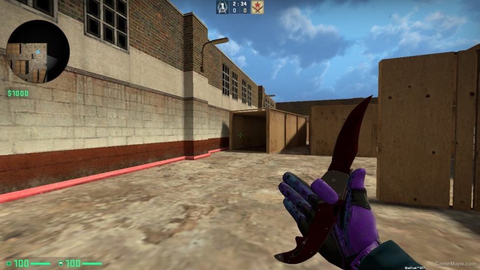 Falchion Knife RUBY FOR CSSO