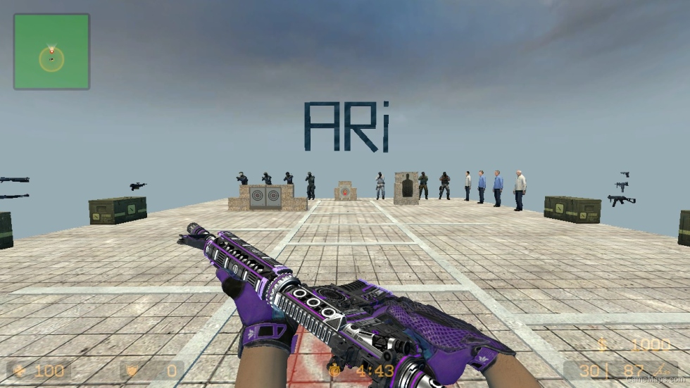 M4A1 ANTI