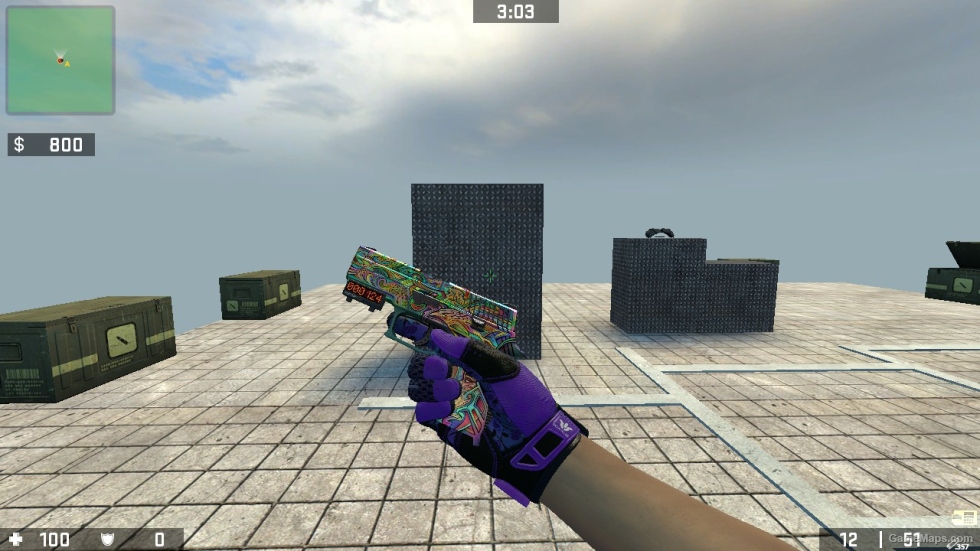 P250 Visions