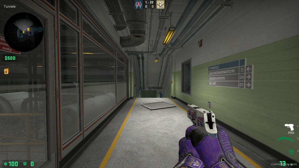 P250 Whiteout STICER 1 FOR CSSO
