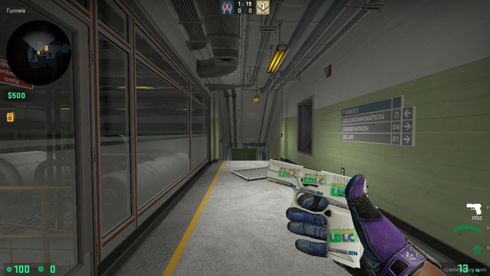 P250 Whiteout STICER 1 FOR CSSO