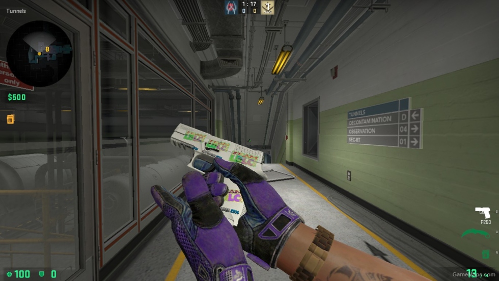 P250 Whiteout STICER 1 FOR CSSO