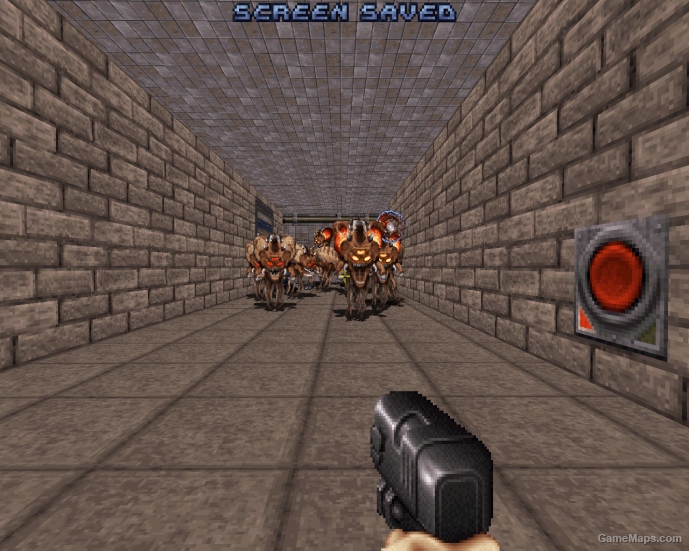 RASWELLS WORLD 2 (THE END) MAP