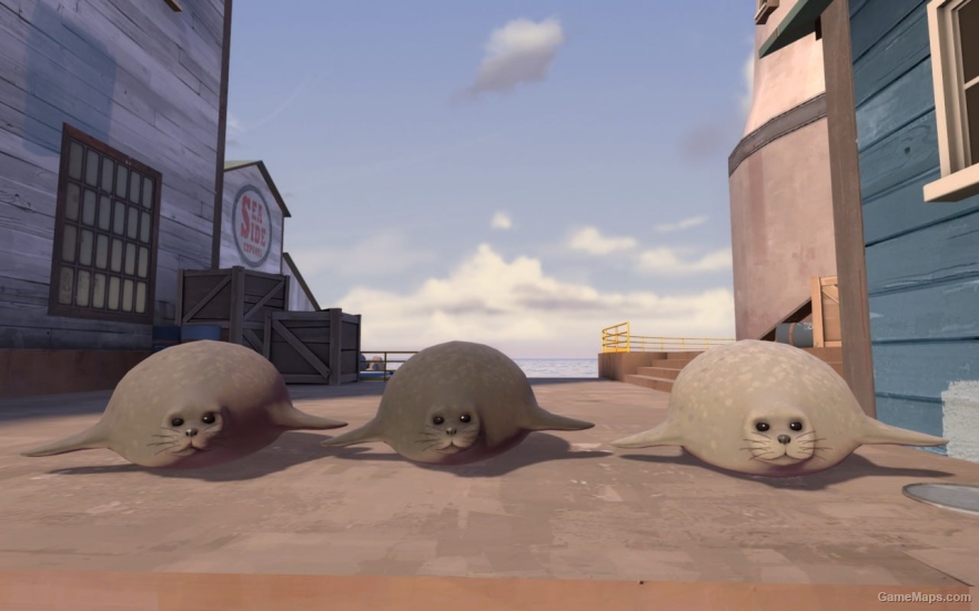 Cute Team Fortress 2 seal