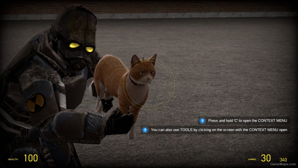 M1A0 Catgun