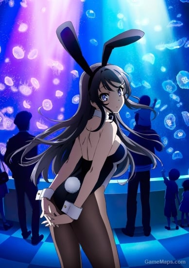 Seishun Buta Yarou wa Bunny Girl Senpai no Yume wo Minai Character Pack - PMs and NPCs