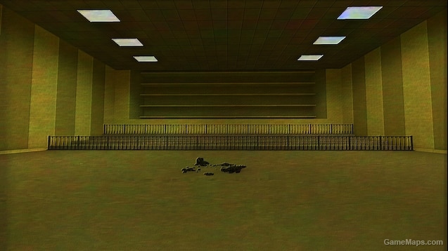 VHS Camera Overlay