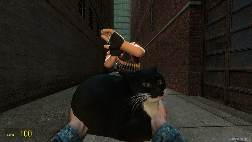 Weapon Pack - Entity - Npc - DEP1 I EXT