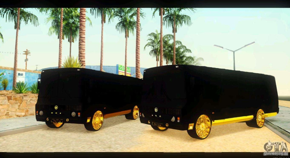 PAZ 4234 Elite Gold