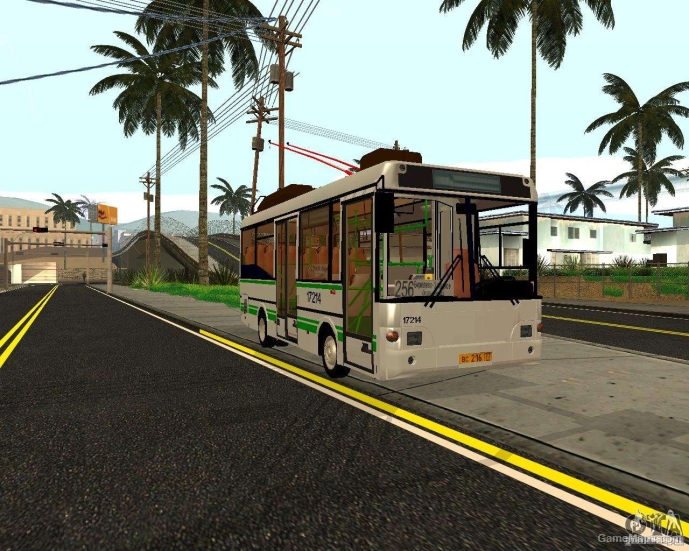 PAZ MTRZ 3237