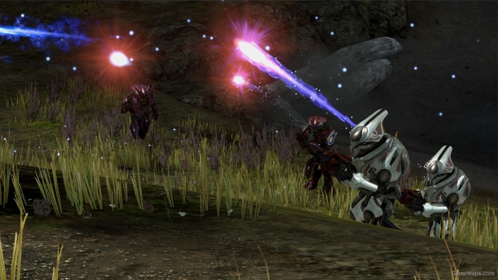 Zealot Firefight
