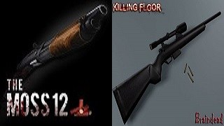 Fixed Hunting Rifle & Moss 12 Trader