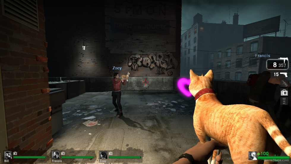 Cat Gun
