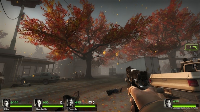 Colorful Autumn Leaves