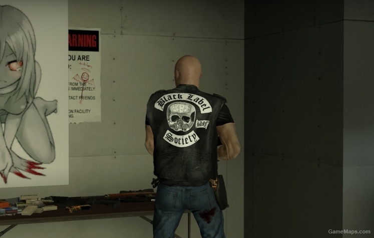 francis bls l4d1