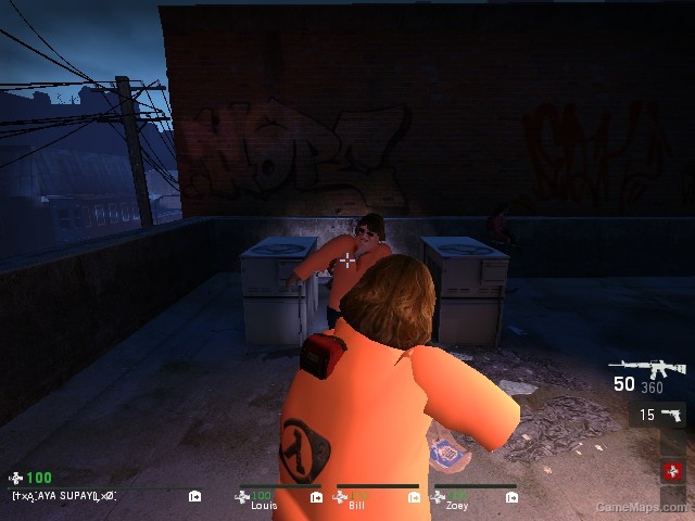 gabe newell replacement francis
