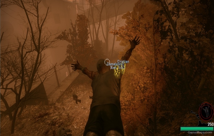 Hunter L4D2onL4D1