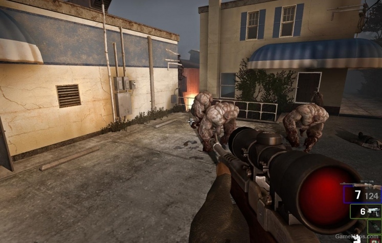 Hunting Rifle Skin L4D1