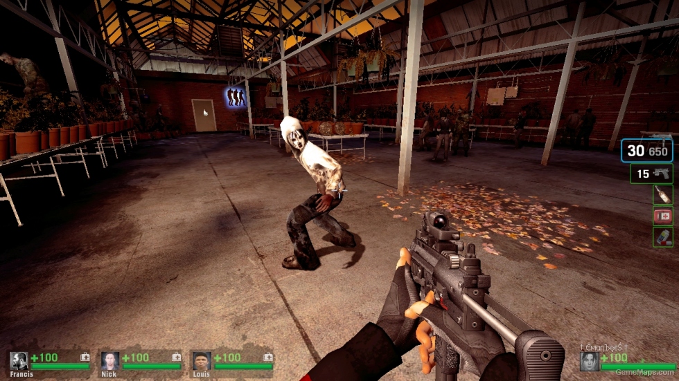 L4D1-Kate the Chaser