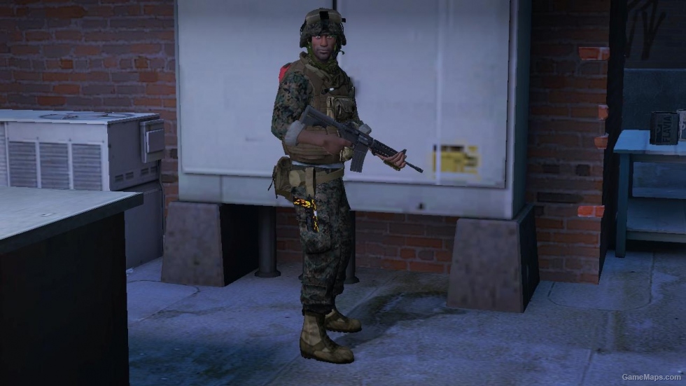 L4D1-USMC MARPAT Louis