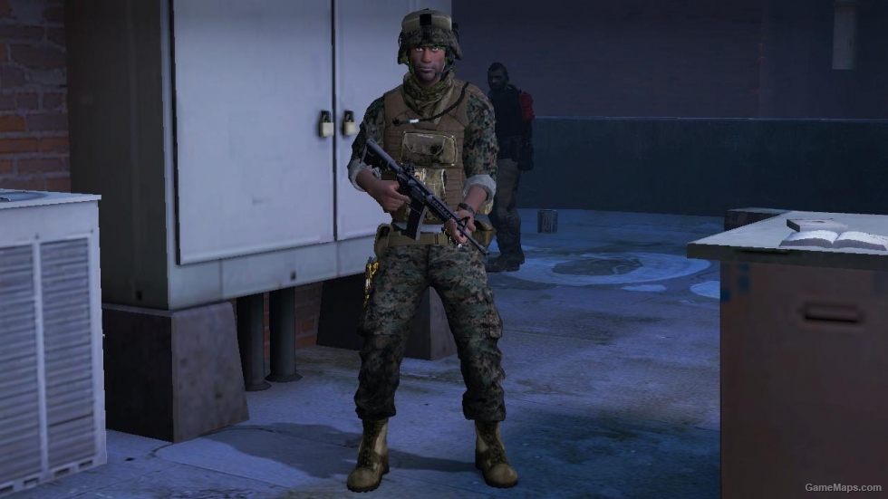 L4D1-USMC MARPAT Louis