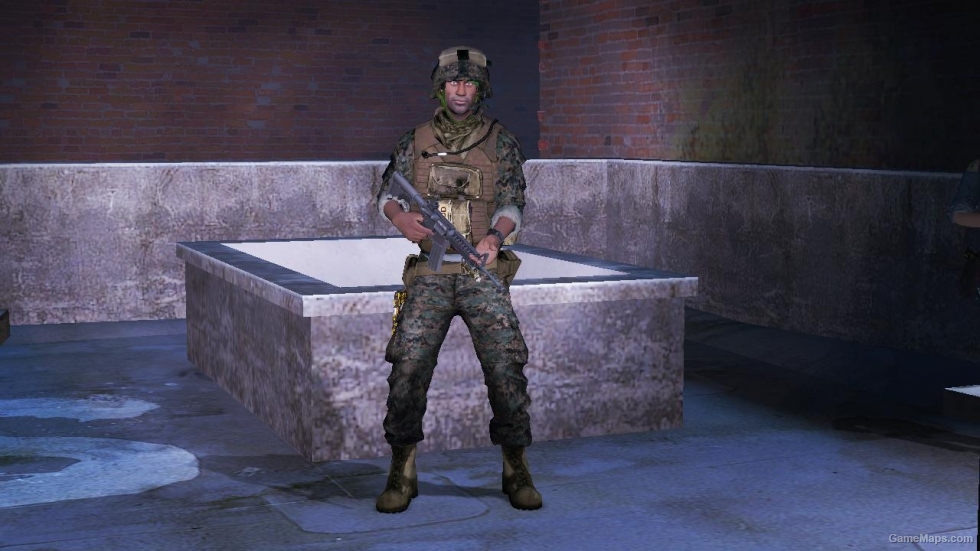 L4D1-USMC MARPAT Louis