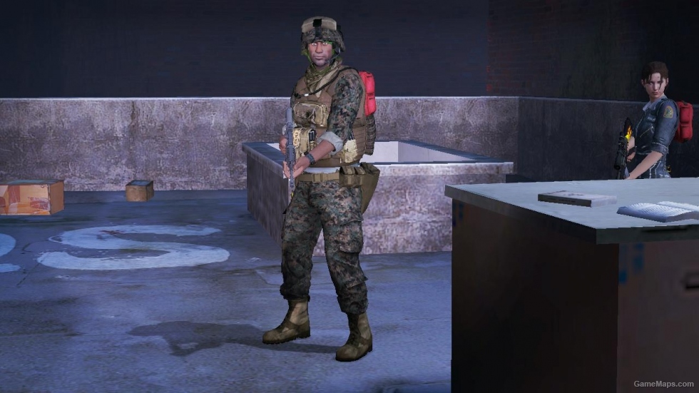 L4D1-USMC MARPAT Louis