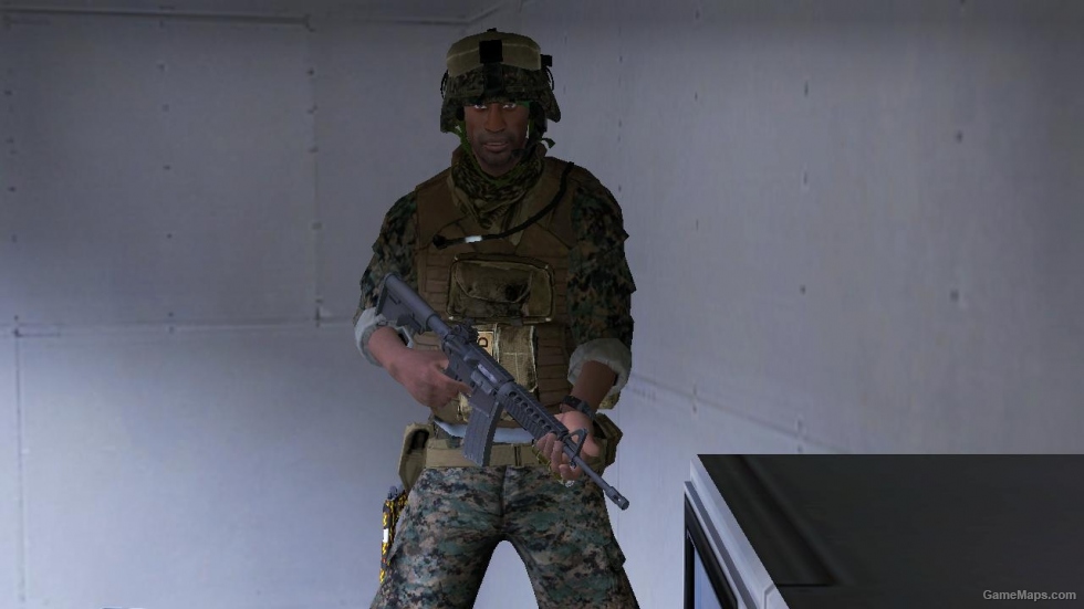 L4D1-USMC MARPAT Louis