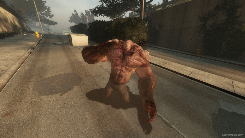 L4D1 [xdR] Tank F