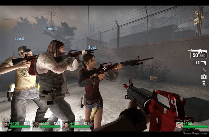 l4d1 bloodhound rifle camo skin