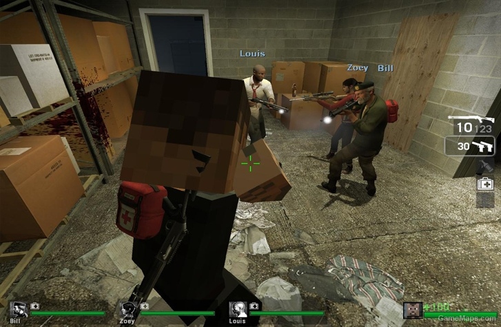 L4D1 Minecraft Francis