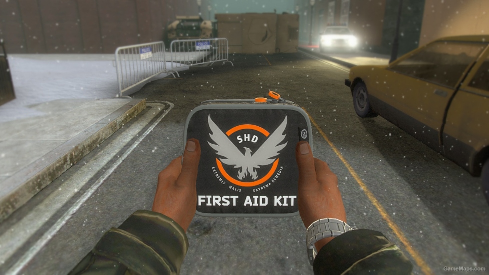 L4D1 The Division Medkit