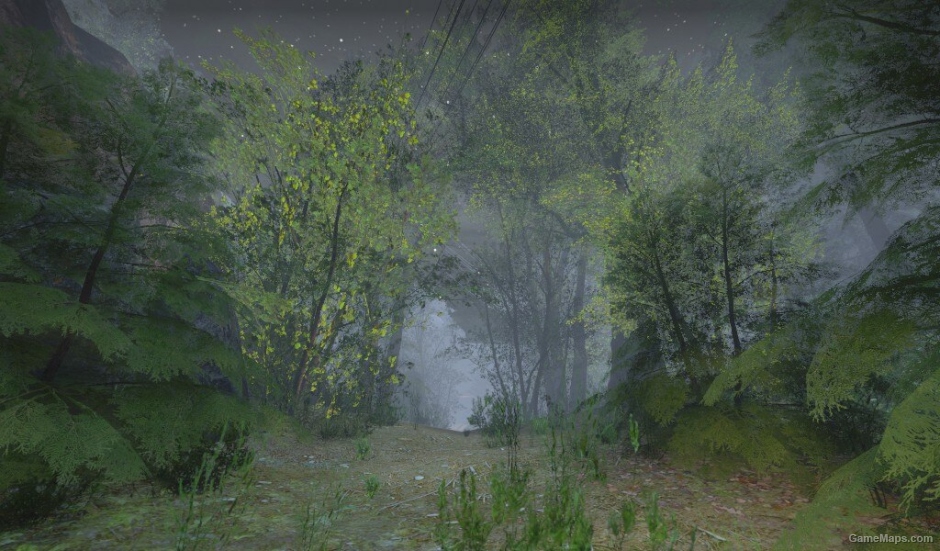 L4D Summer