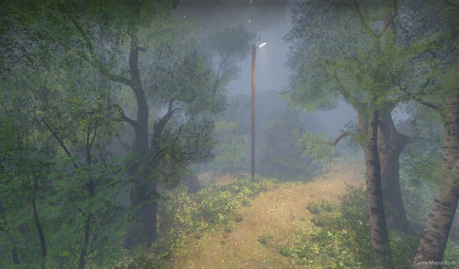 L4D Summer