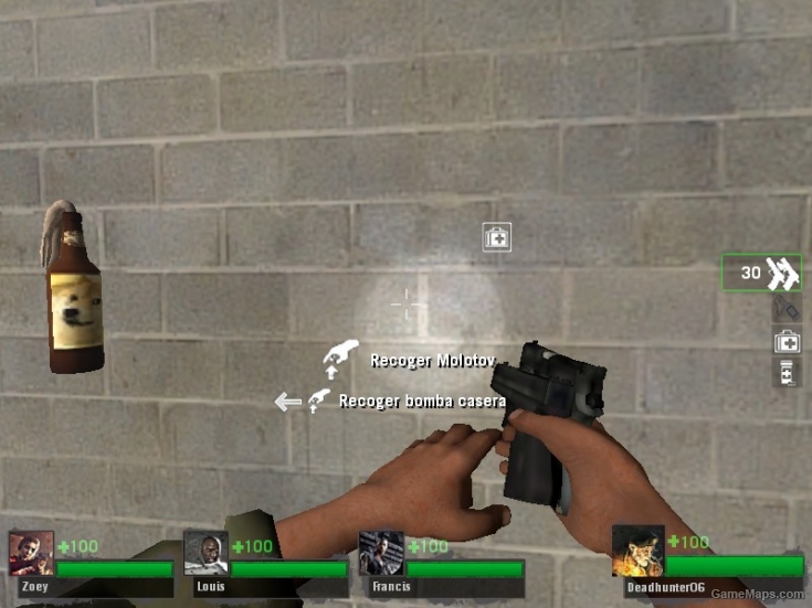 Left 4 dead transparent icons