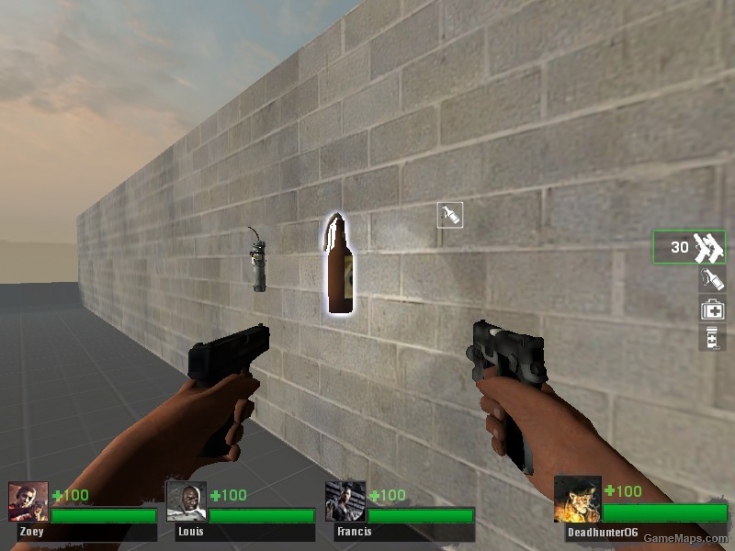 Left 4 dead transparent icons
