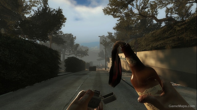 Pipe Bomb & Molotov - Insurgency Animations