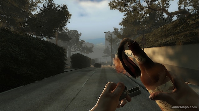 Pipe Bomb & Molotov - Insurgency Animations
