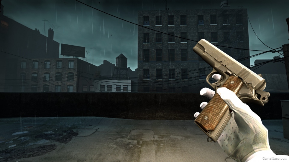 Pistol (without flashlight)